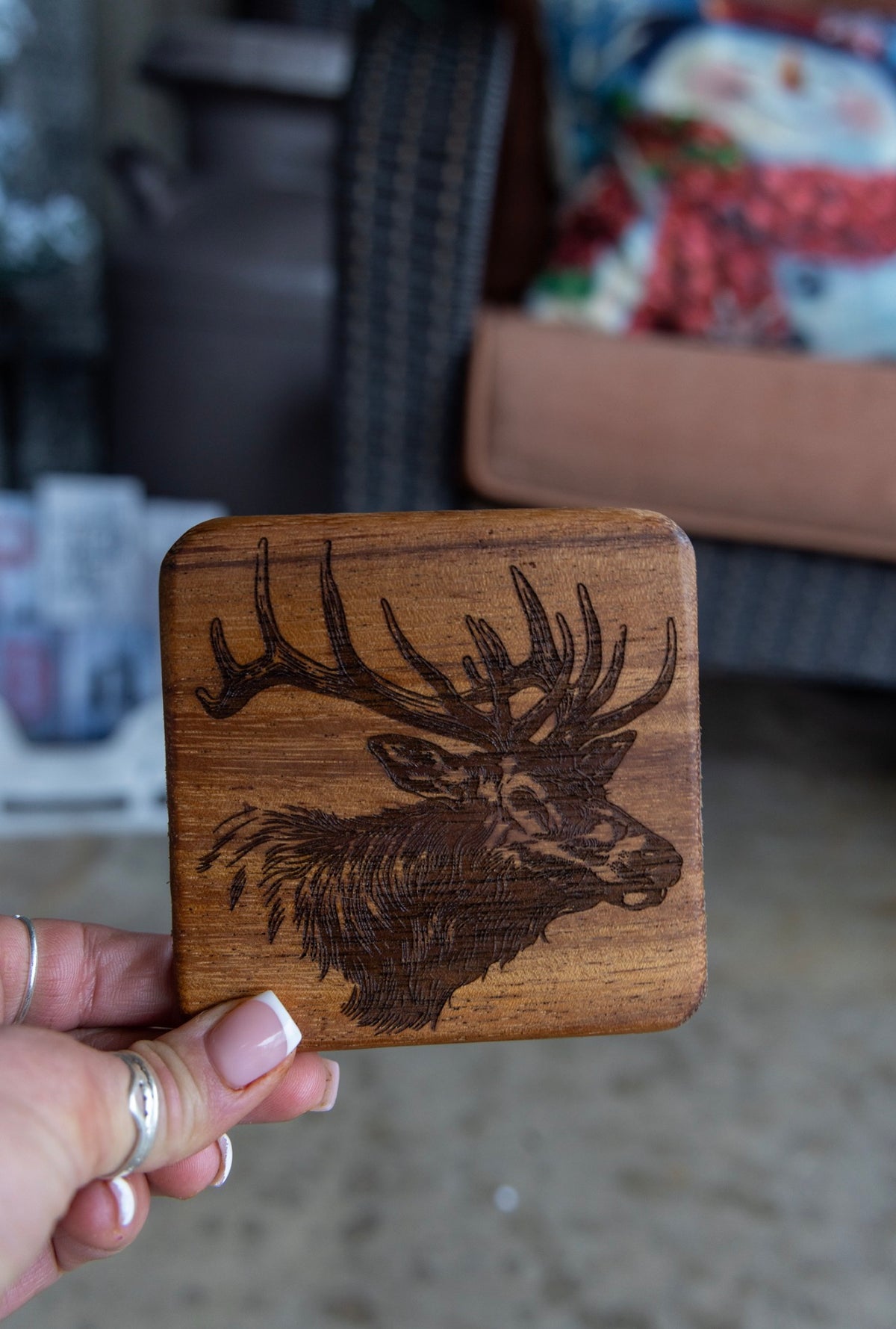 Wildlife Coasters