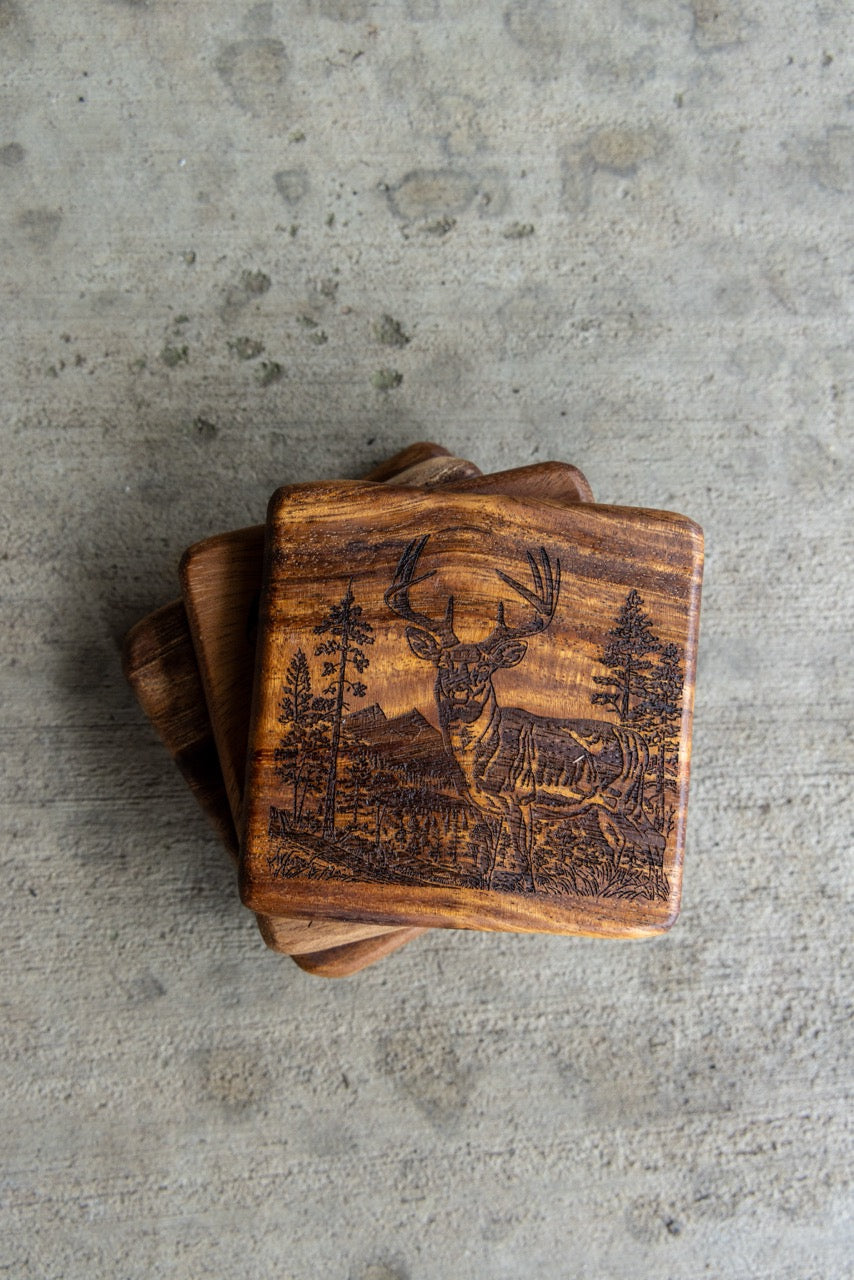 Whitetail Deer Coasters (Set of 4)