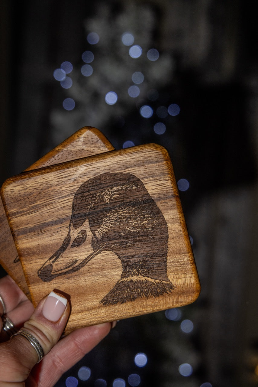 Mallard Coasters (Set of 4)